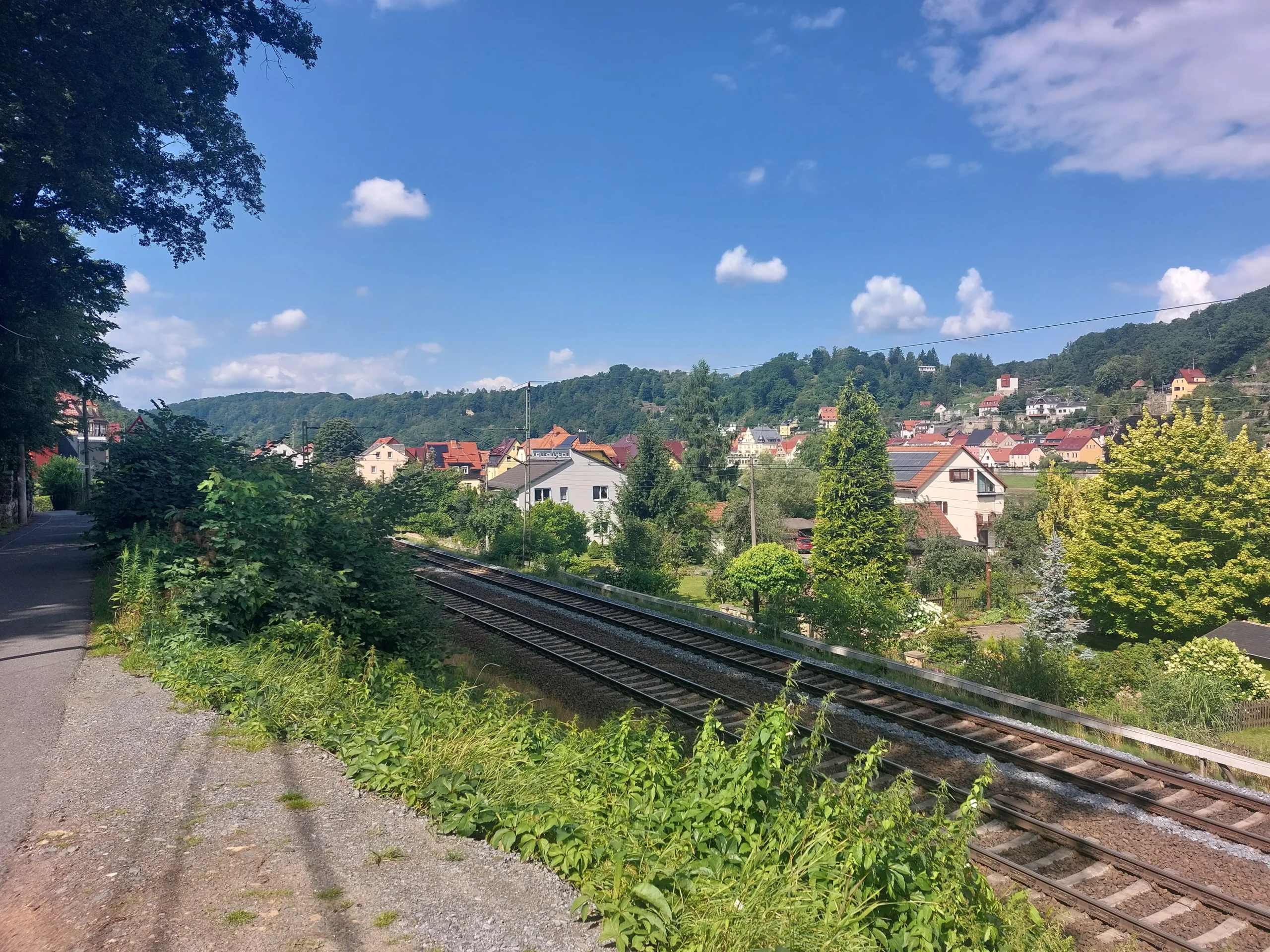 Blick zur Stadt Wehlen.