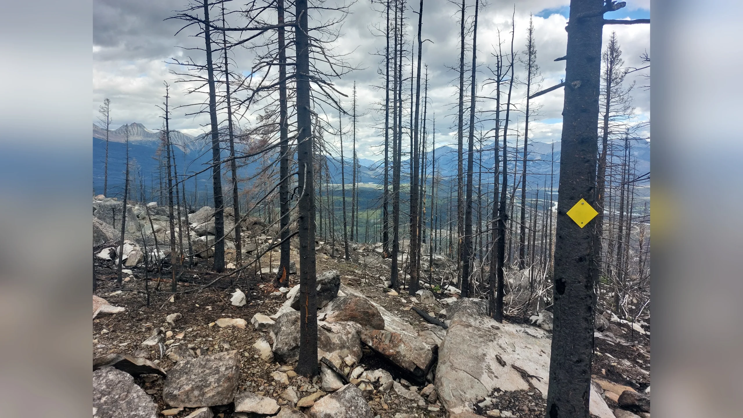 Erstmalig Wegmarkierungen. Ohne die die hätte ich nie den Weg durch die Steinwüste gefunden.