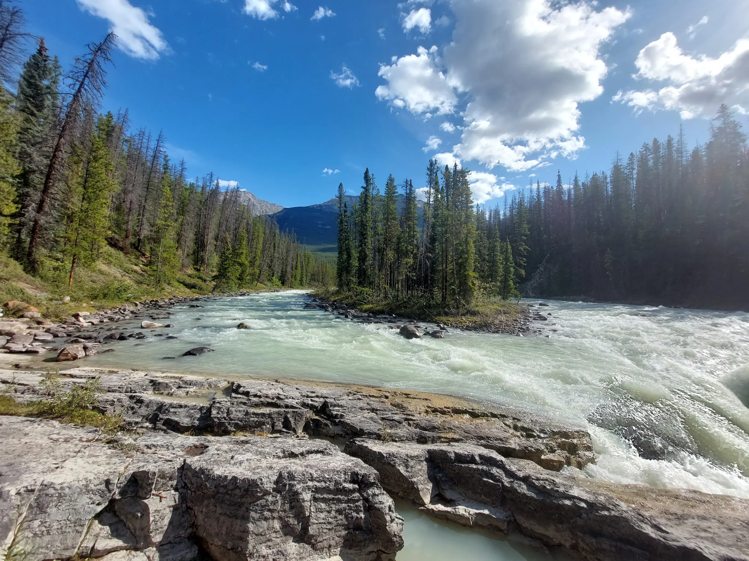 Das ist meine Vorstellung von Kanada: Reißende Flüsse von den Gletschern in den Rockies. Darin Inseln mit den schlanken Fichten. Es fehlen nur die Bären :)