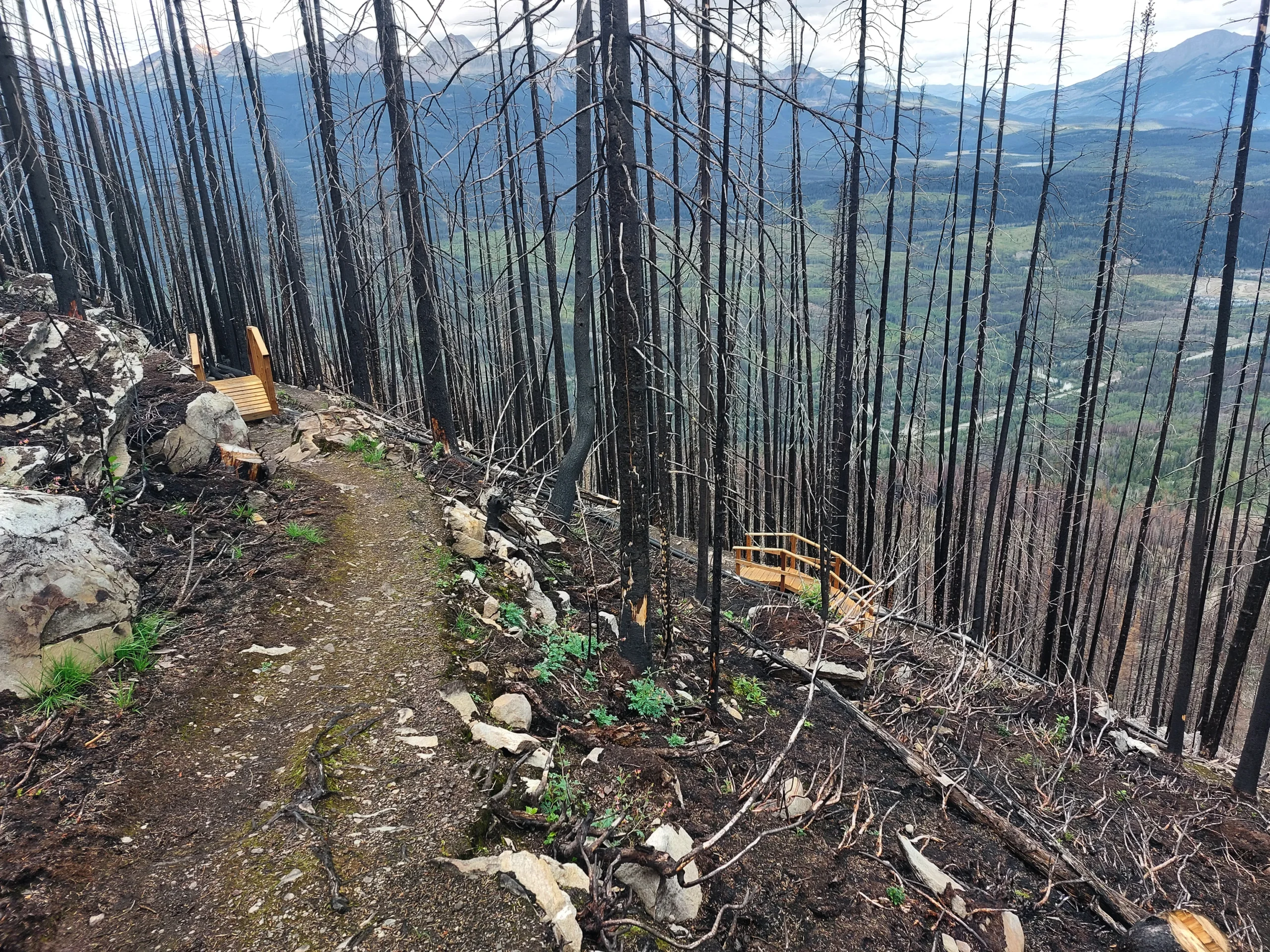 Es gibt drei Gründe Jasper nicht zu besuchen. 1. Das größte Feuer aller Zeiten in dieser Region versetzte den Nationalpark in diesen Zusrand.