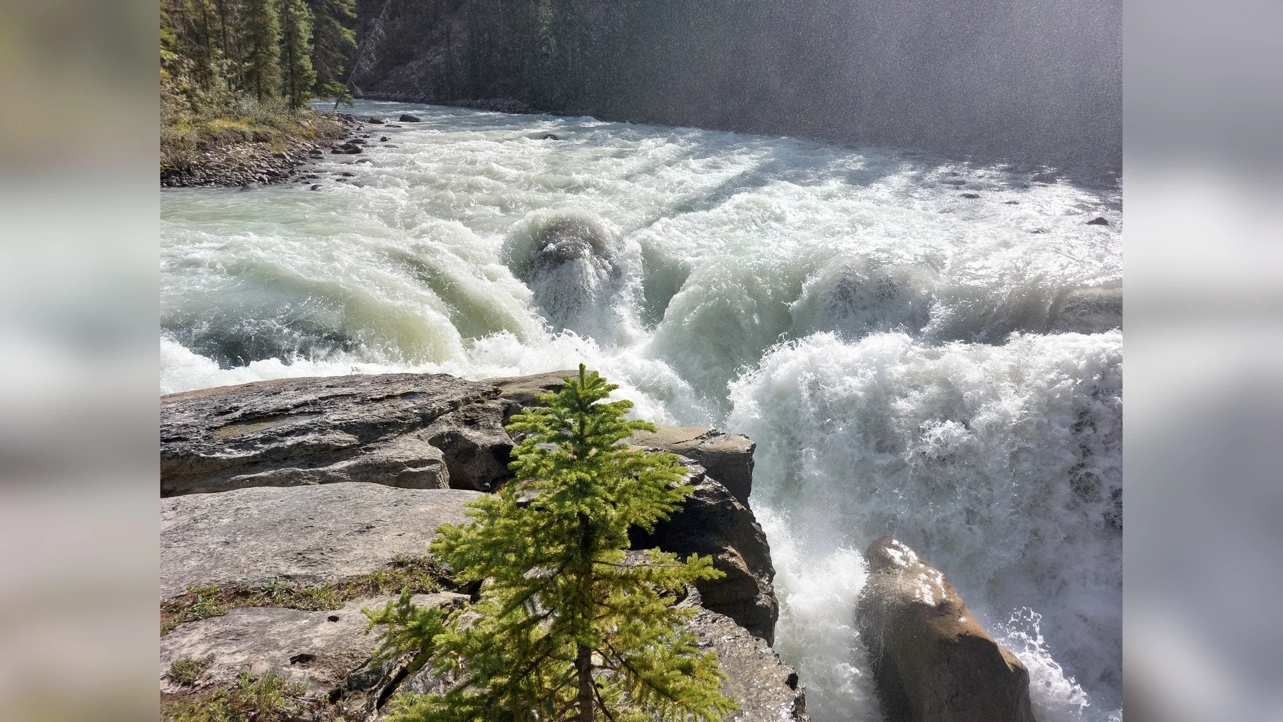 Hier sehen wir die Sunwapta Falls.
