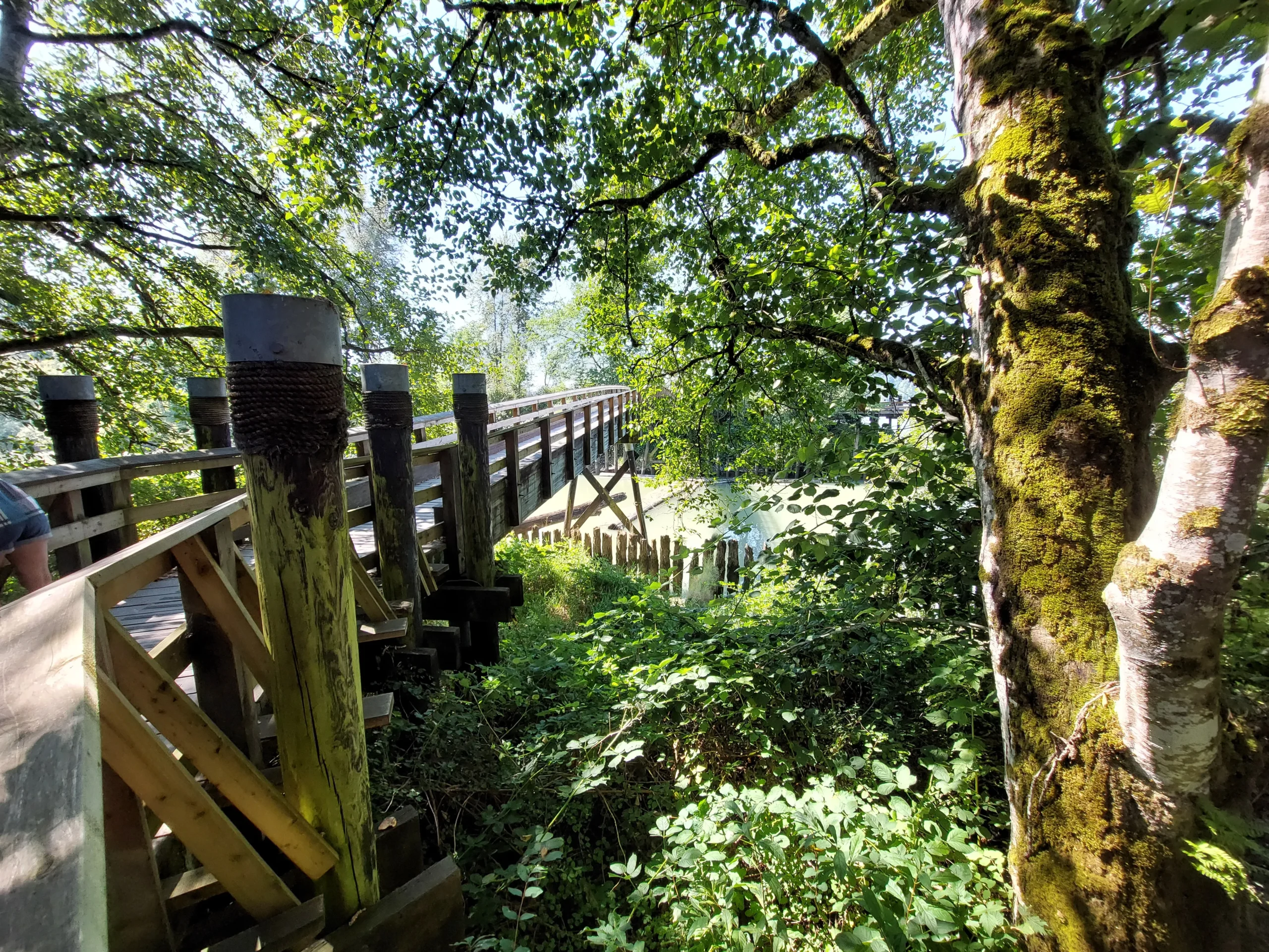 Kanaka hießen die Hawaiianer, die die Flößerarbeiten verrichten mussten.