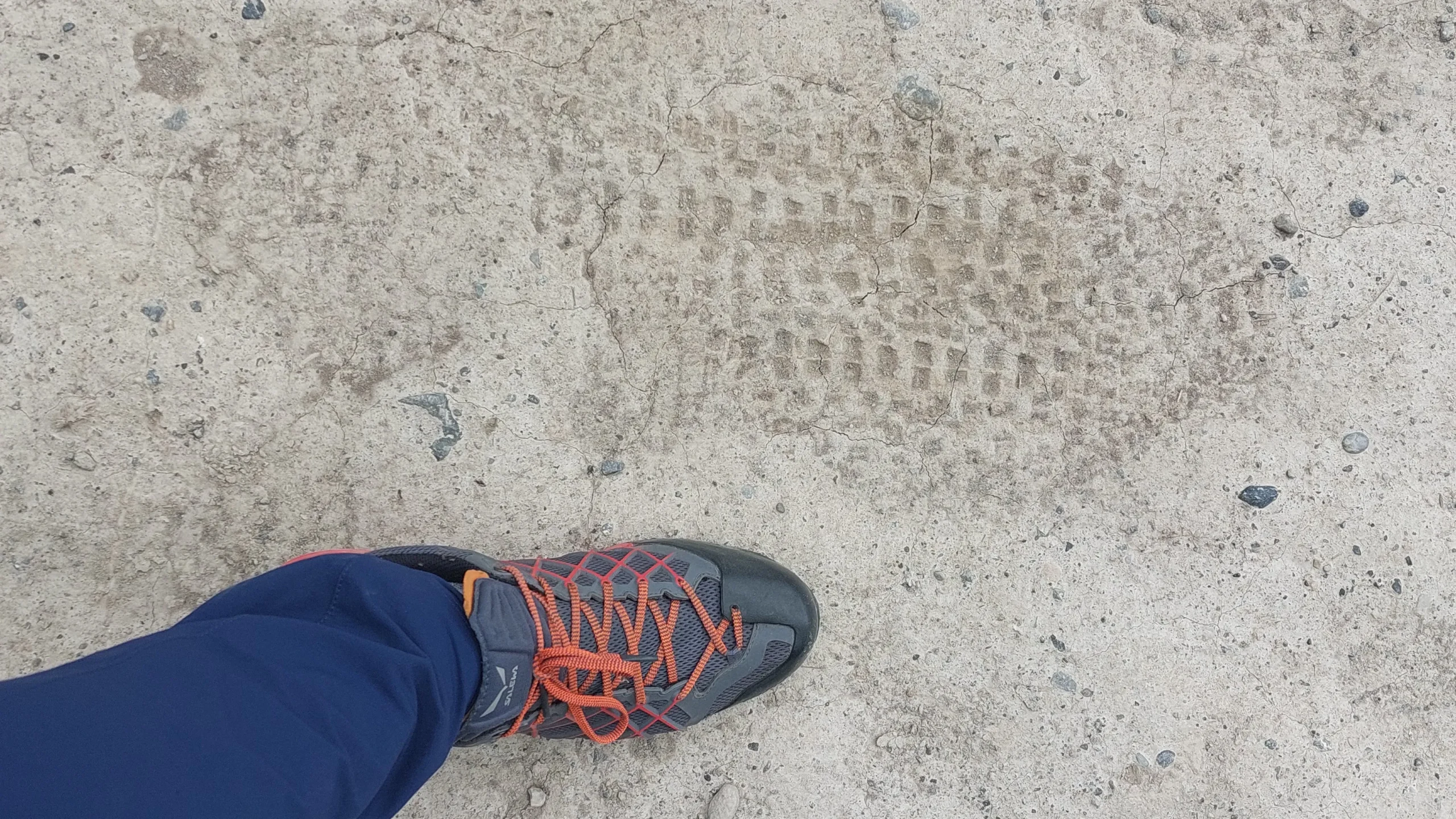 Der Beweis ist erbracht: Bigfoot ist am Leben!