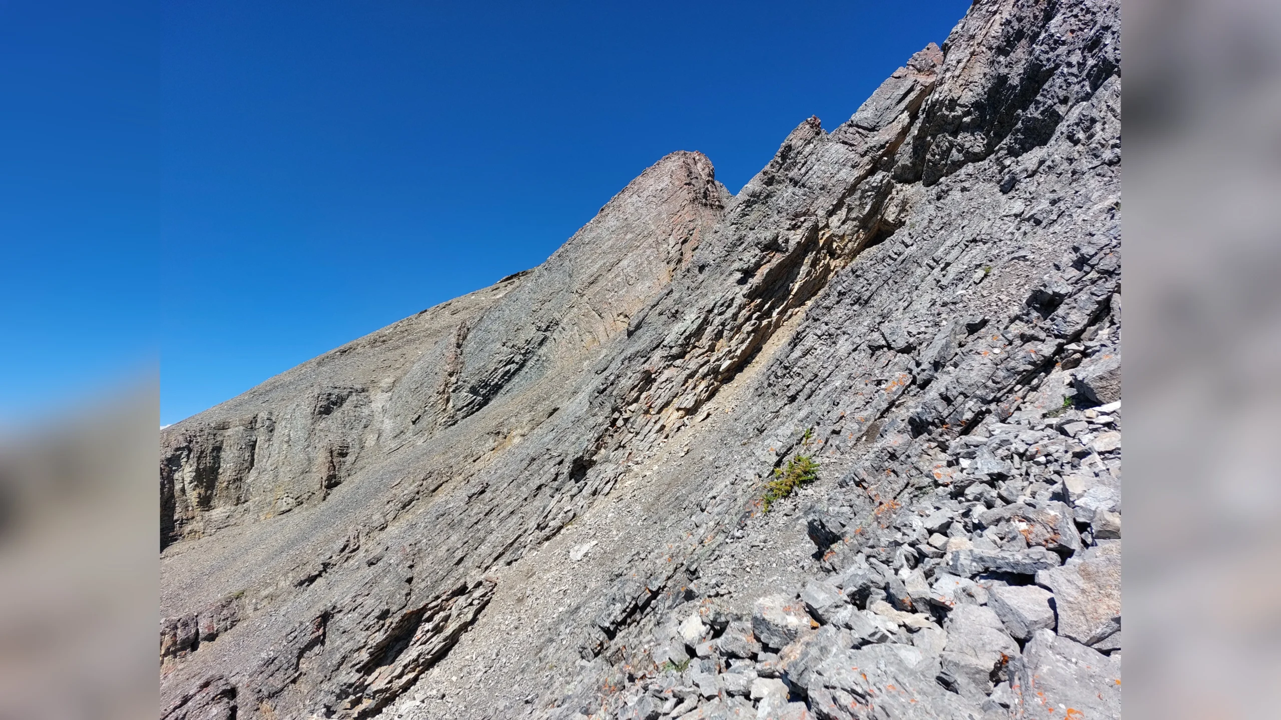 An dieser Stelle kurz vor dem Gipfel des Rundle 7 sah ich keinen Weg weiter zu gehen und brach die Kammtour ab.