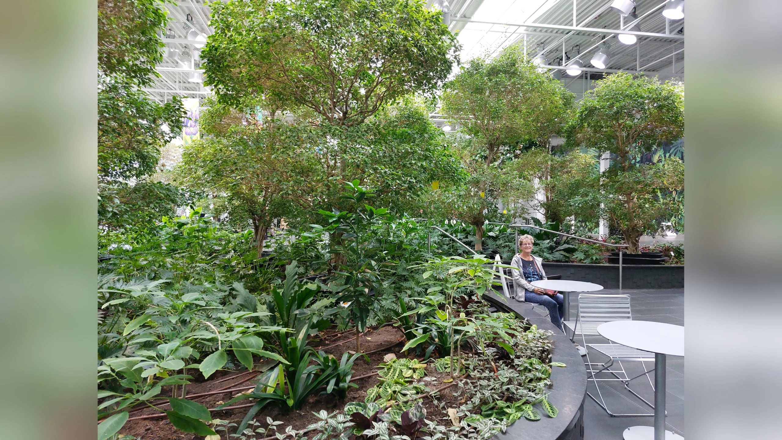 ..in Kaufhäusern sind ganze Etagen mit Pflanzen zu Ruhezonen gestaltet. Es kommt sicher noch viel mehr hinzu, so dass wir uns in der großen Stadt einfach wohlfühlten.