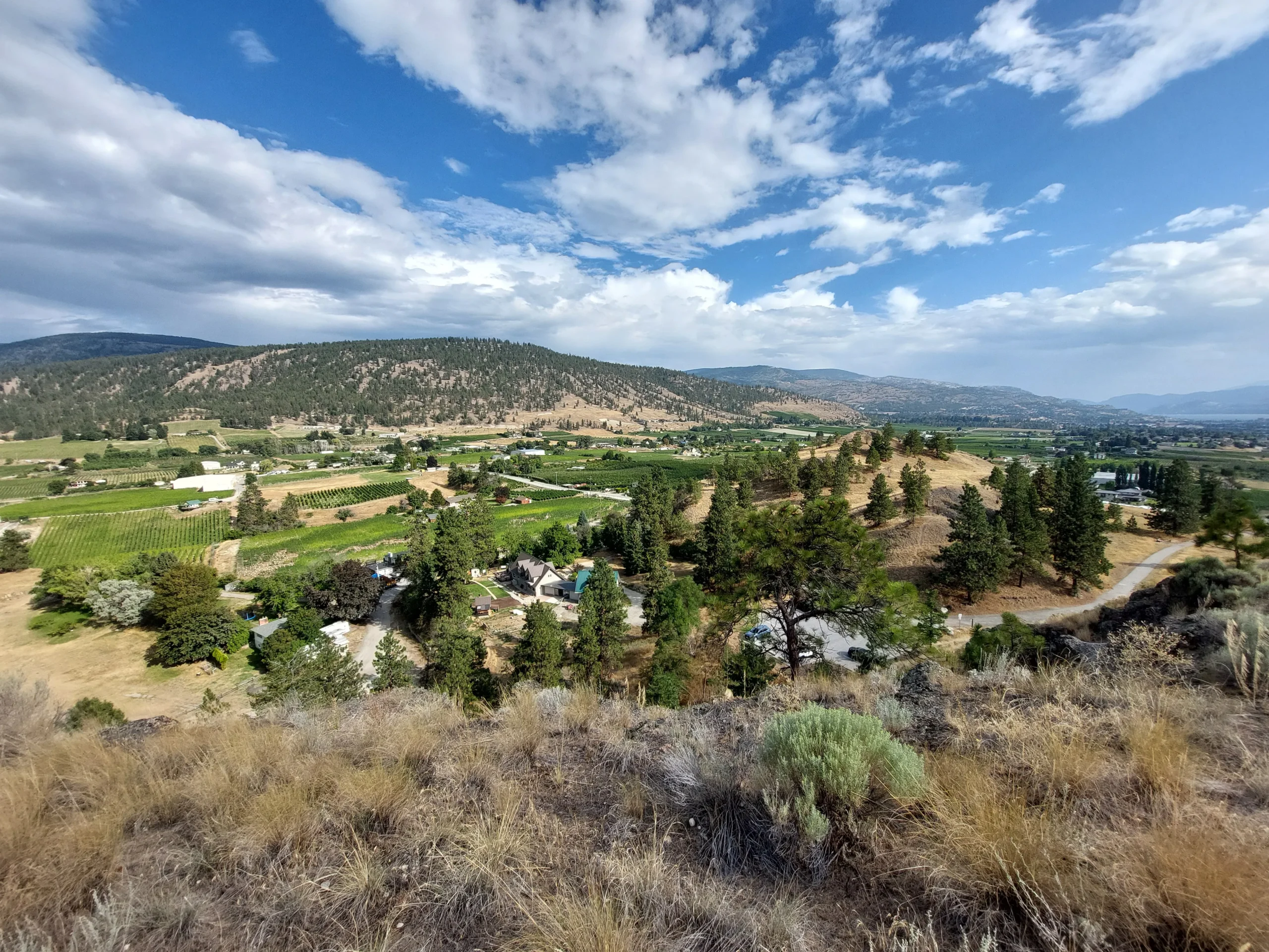 Vom Munson Mountain sollte man den besten Blick auf Lake Okanakan haben...