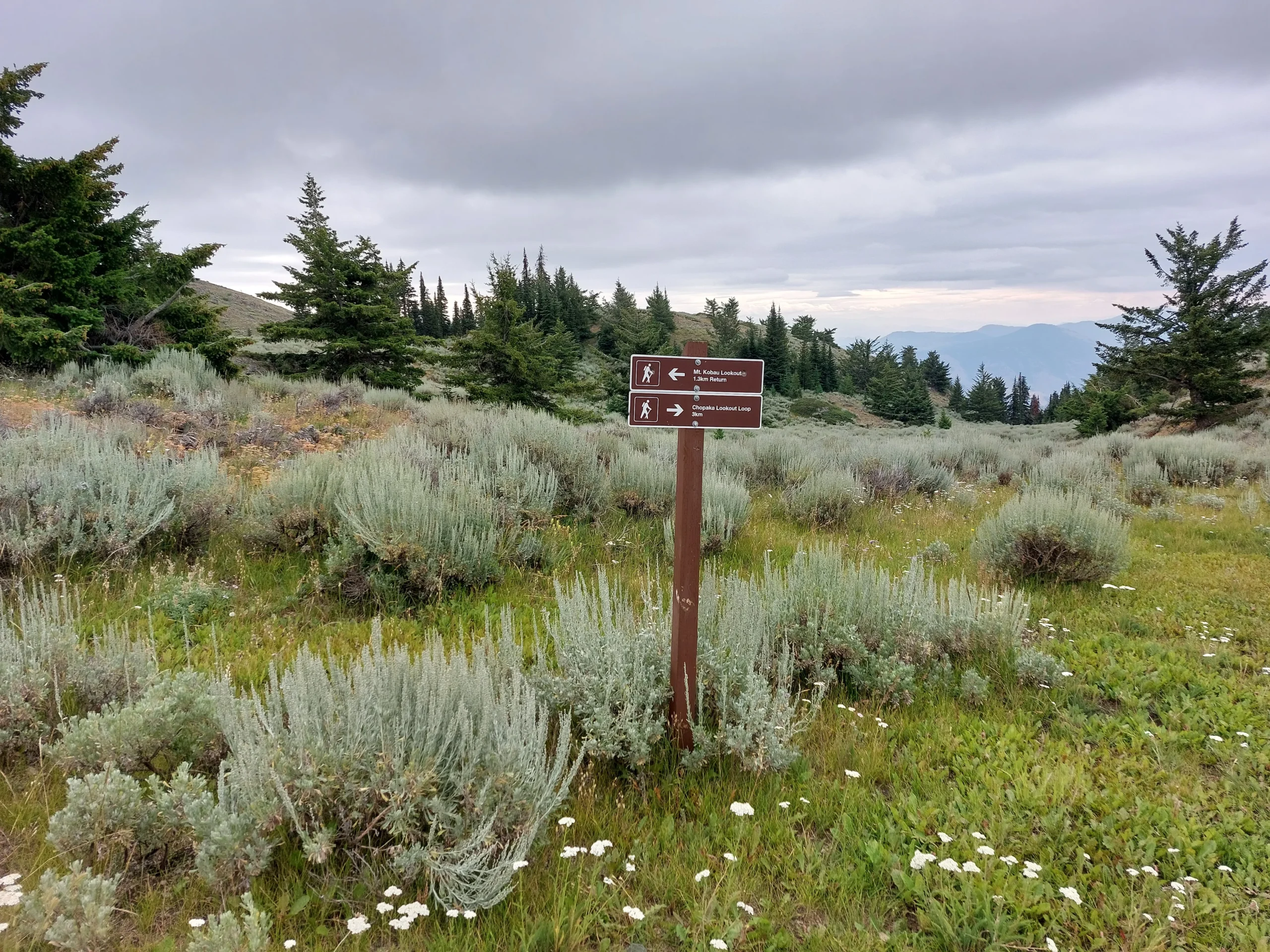 Im Süden Kanadas an der Grenze zu den USA liegt Osoyoos am Okanagan River. Von Mount Kobau soll man die beste Sicht auf diese Gegend haben.