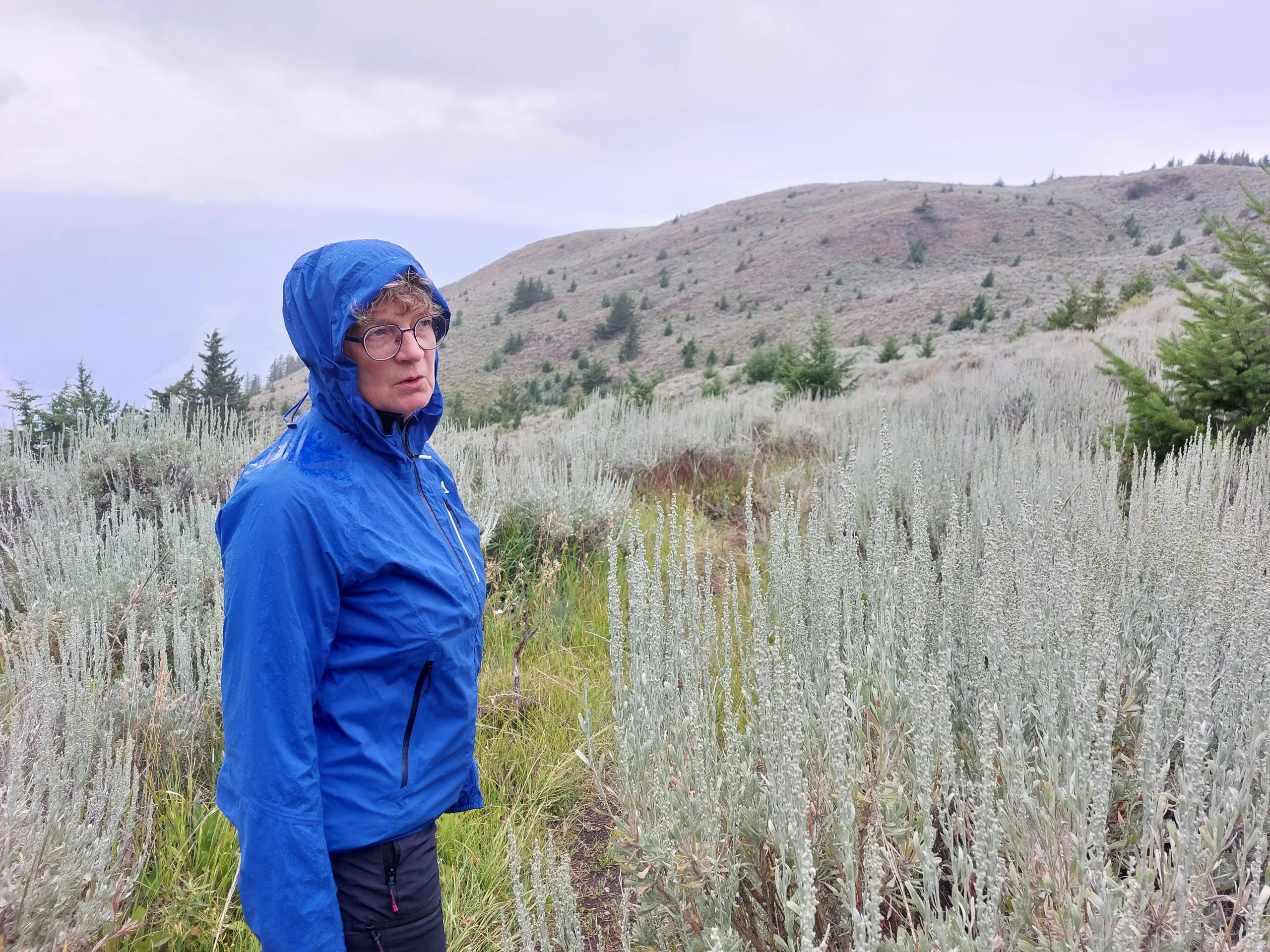 Auf dem Weg zum Chopaka Lookout hat uns dann doch noch der Regen eingeholt.