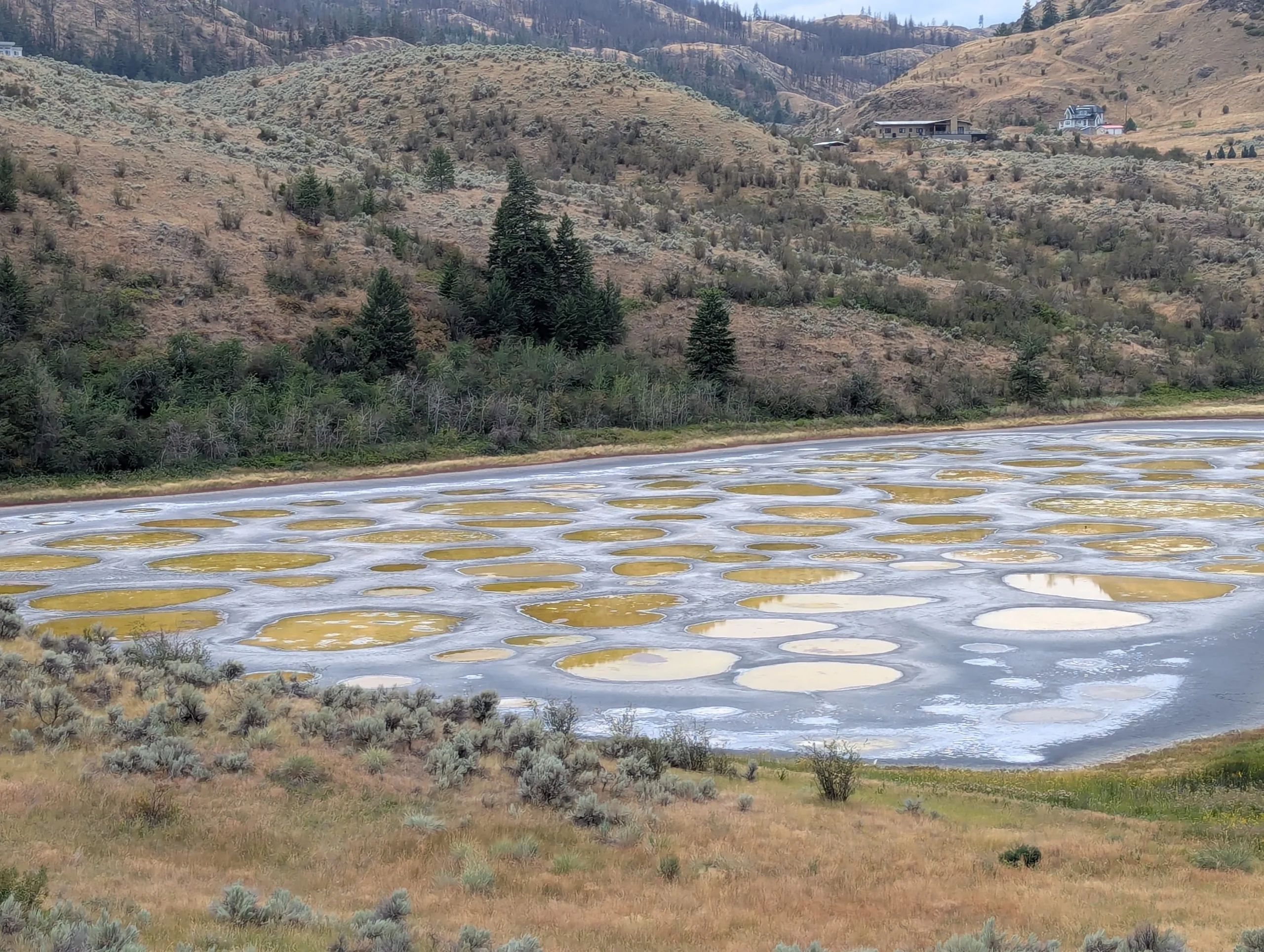 Spotted Lake