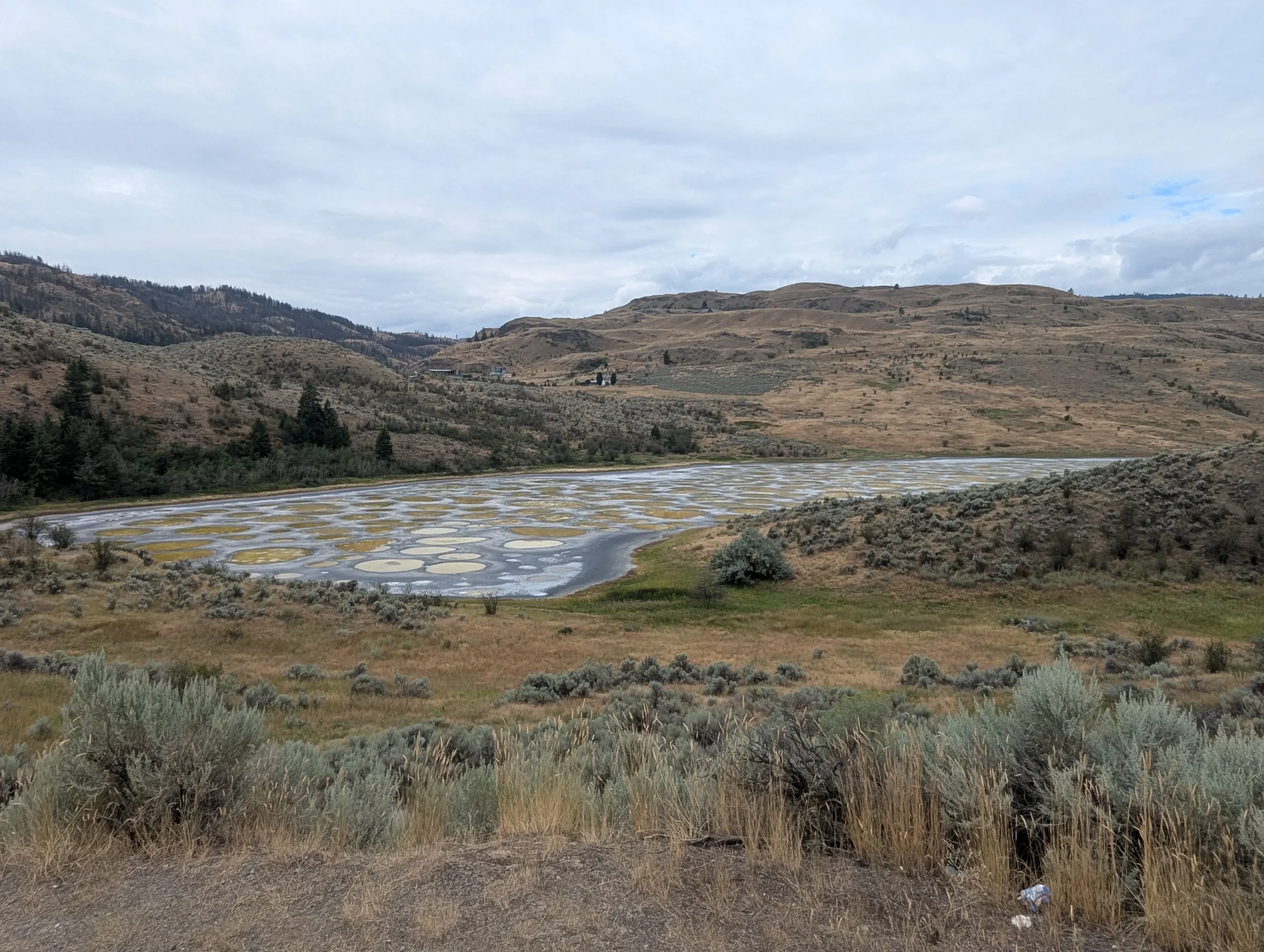 Spotted Lake - ein See reich an Mineralien. Der See hat keinen Abfluss. In den heißen Sommermonaten verdunstet das Wasser und es entstehen diese Pools.